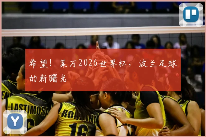 希望！莱万2026世界杯，波兰足球的新曙光