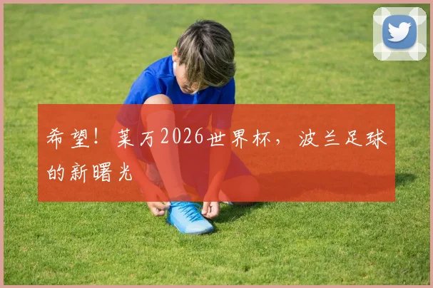 希望！莱万2026世界杯，波兰足球的新曙光