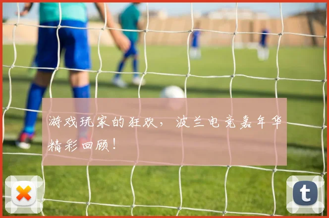 游戏玩家的狂欢,波兰电竞嘉年华精彩回顾!